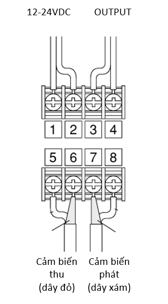 DAU_NOI_2